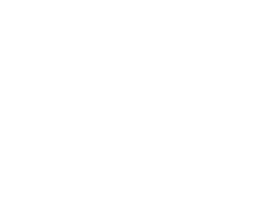 Ridekunst_logo_hvid